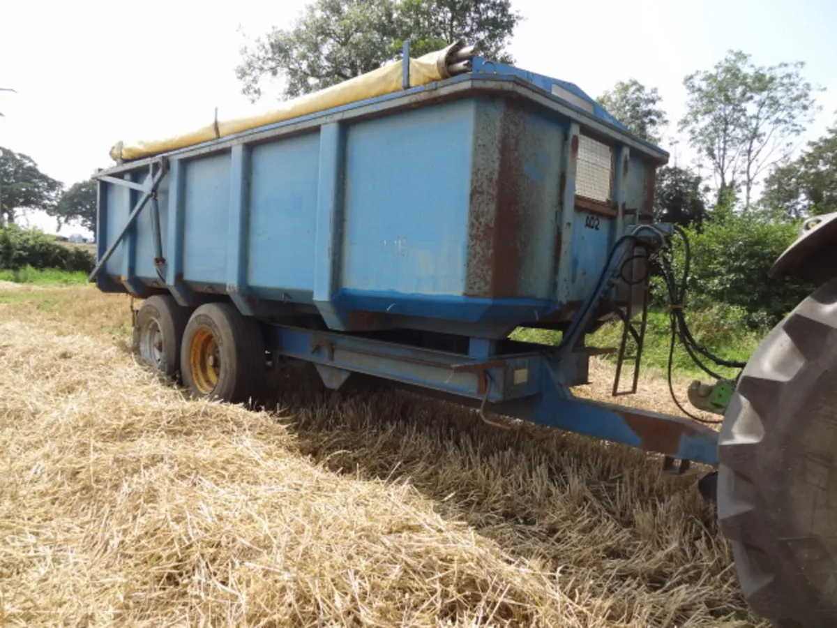 GT Bunning 12 Ton Tipping Grain Trailer - Image 1