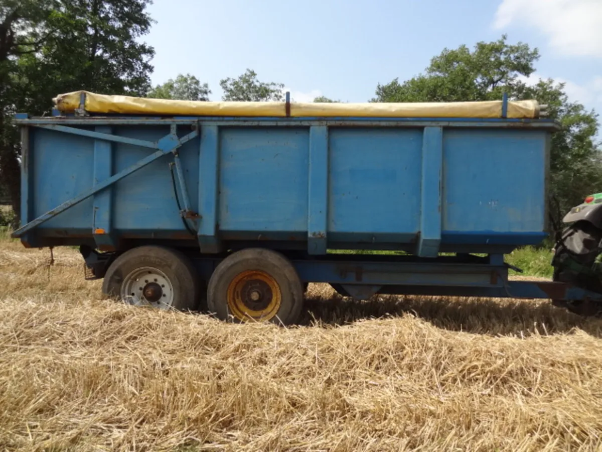 GT Bunning 12 Ton Tipping Grain Trailer - Image 3