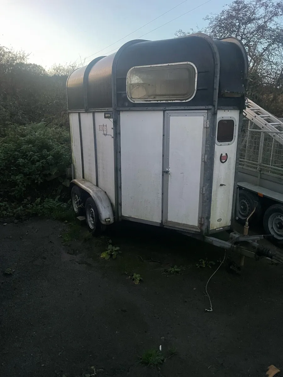 Rice double Horse box - Solid Floor, Lights Workin - Image 1