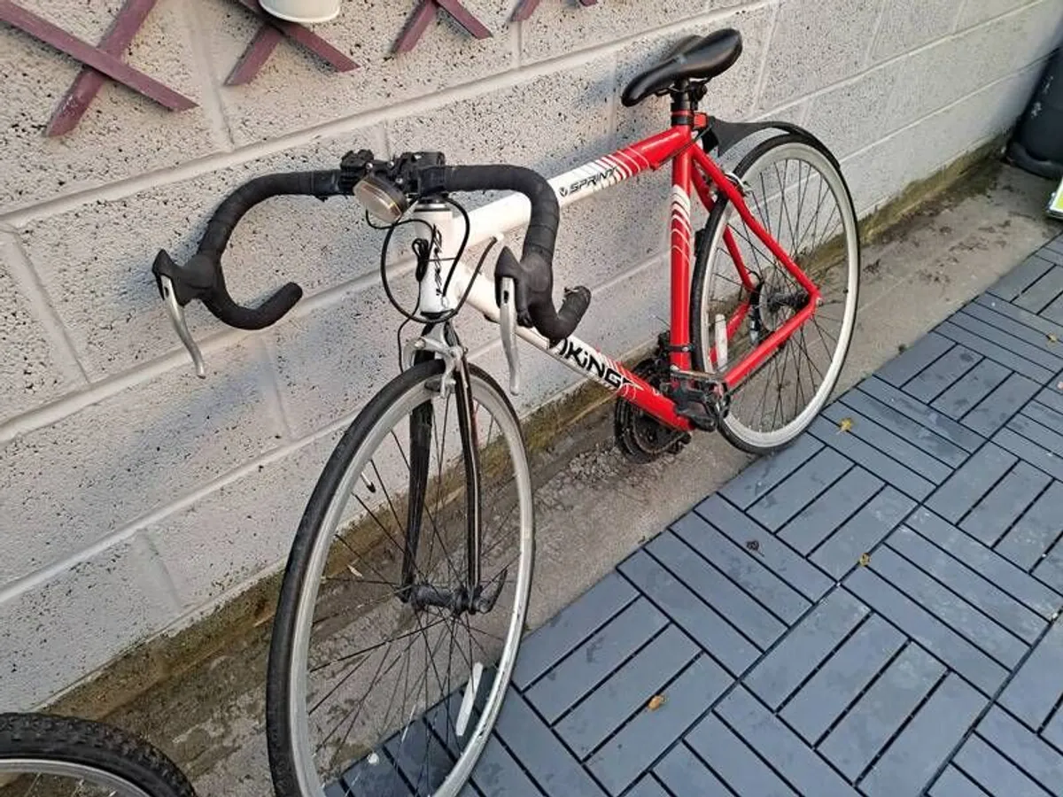 Viking Sprint Racing Bike - Image 1