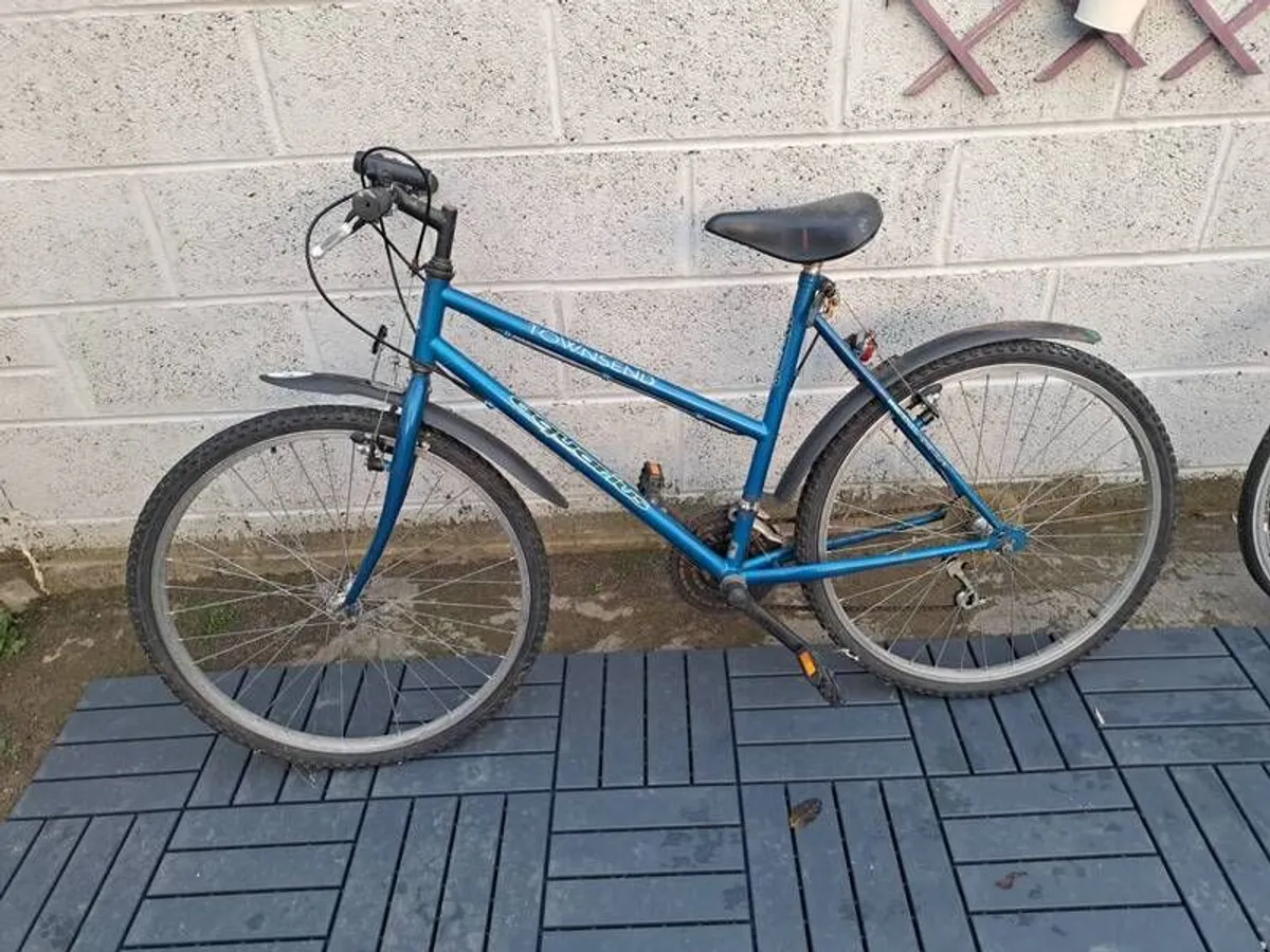 Townsend aquarius ladies mountain bike - Image 1