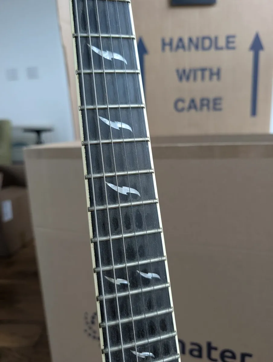 Guitar - Epiphone Les Paul Prophecy Custom EX - Image 2