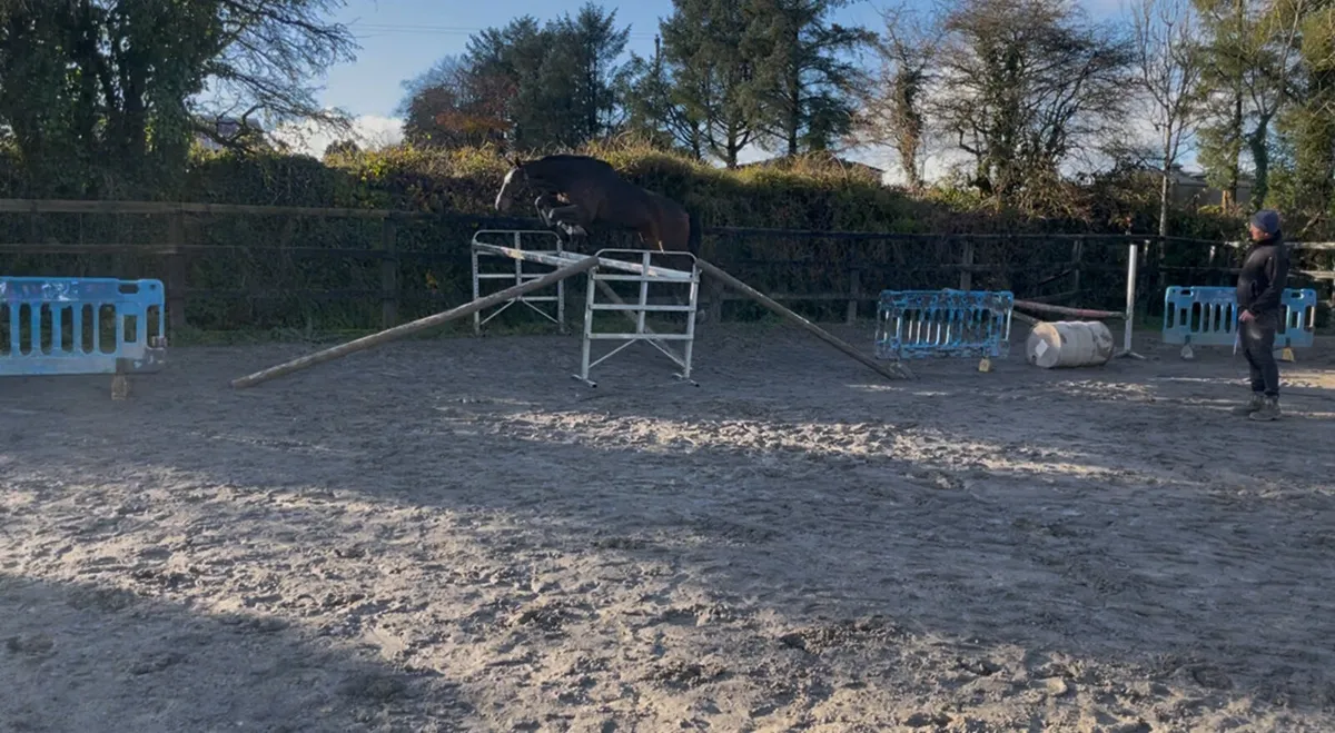 Three year old - Image 2