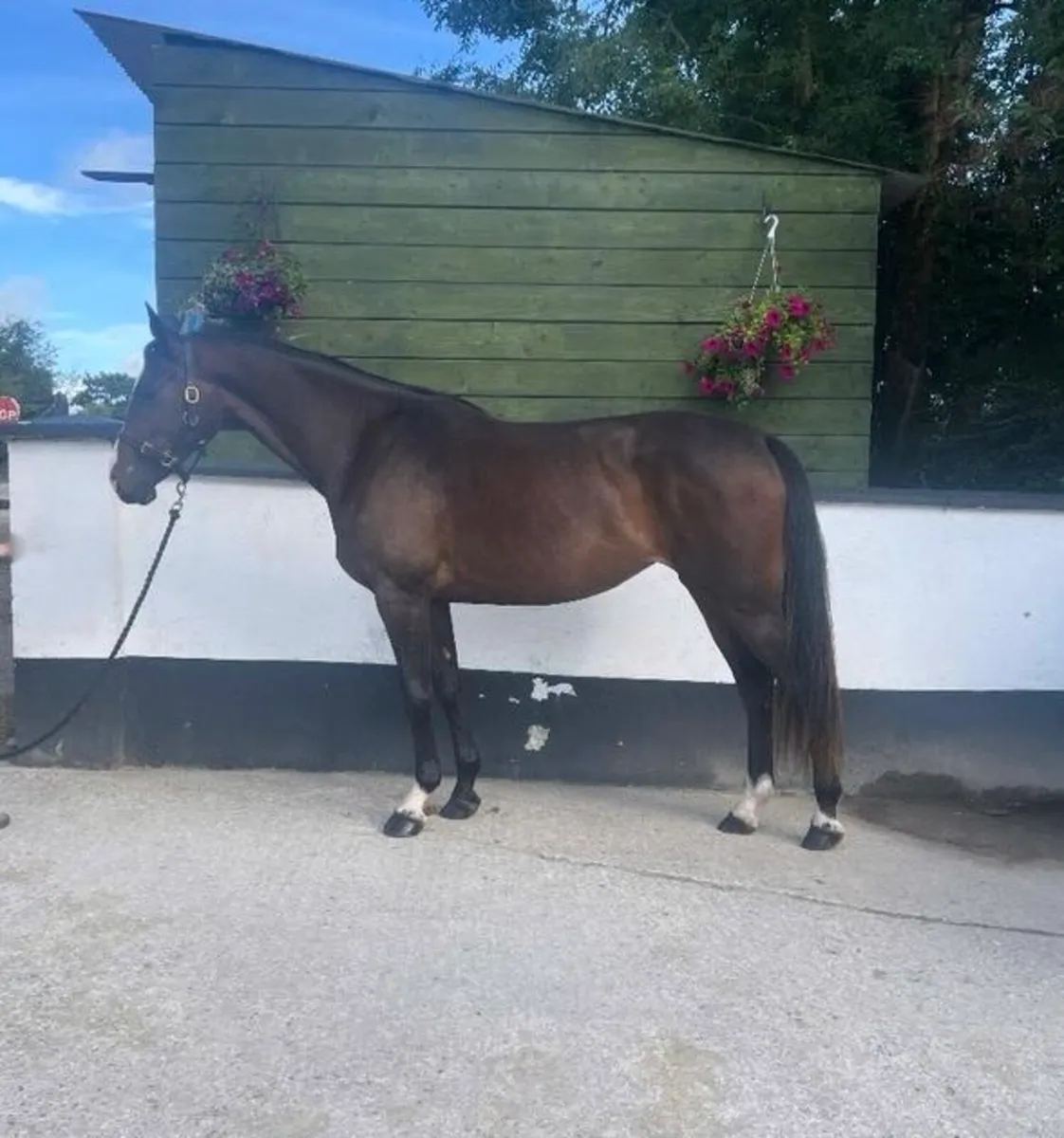 Three year old - Image 1