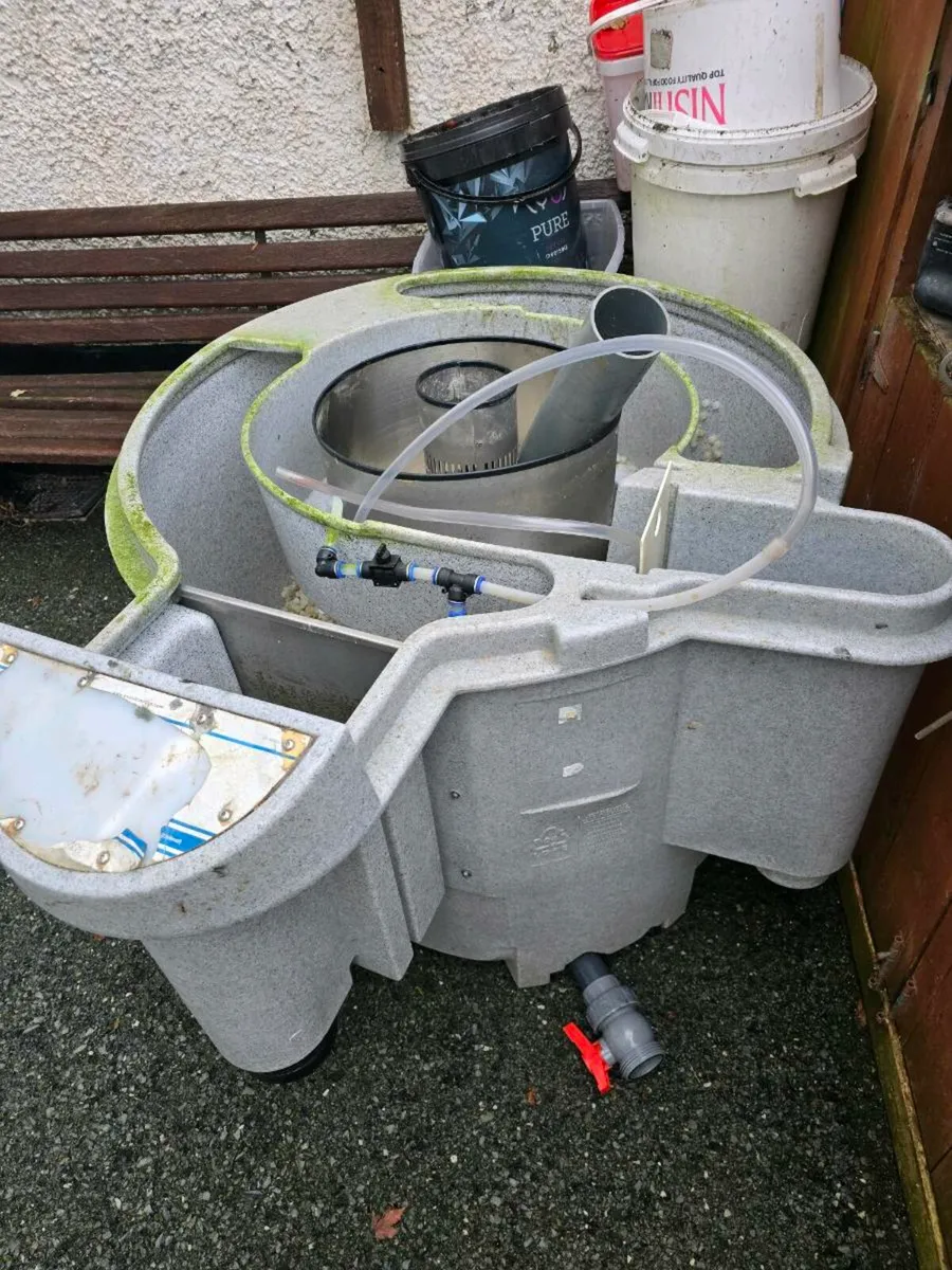 Koi fish and pond equipment - Image 1