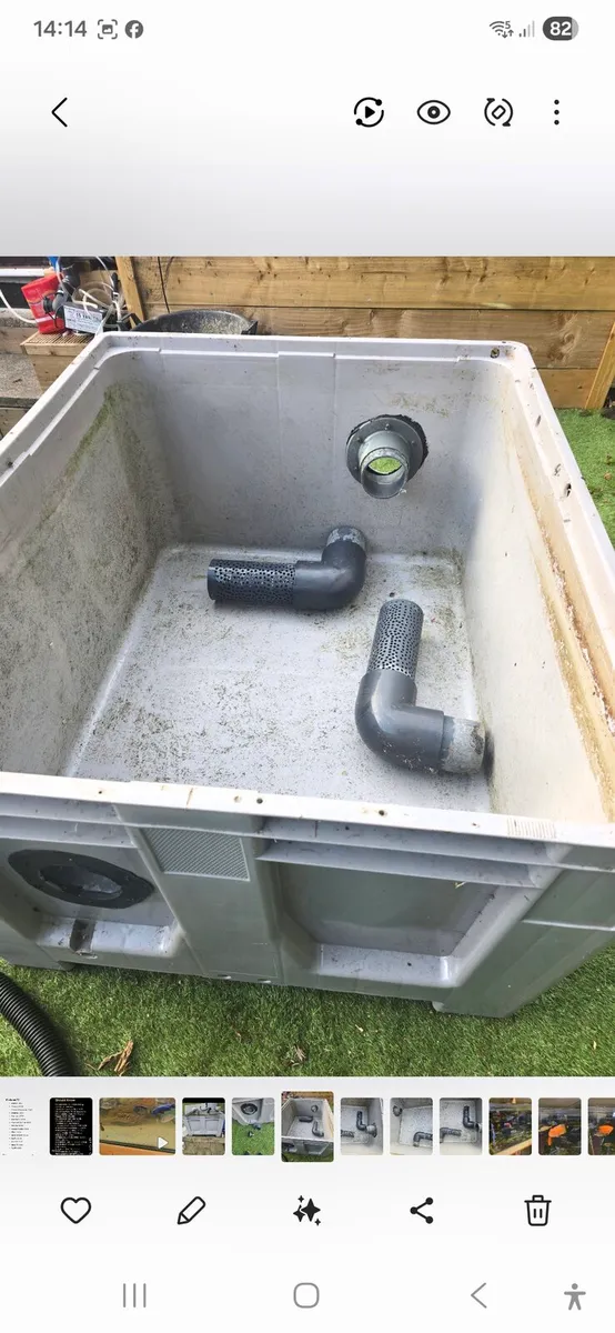 Koi fish and pond equipment - Image 3