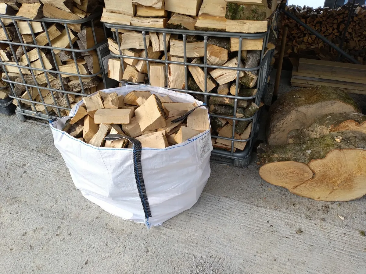 Firewood - Image 4