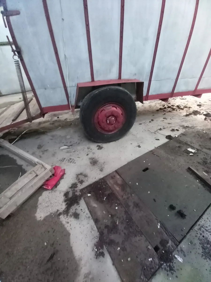 Cattle trailer - Image 3