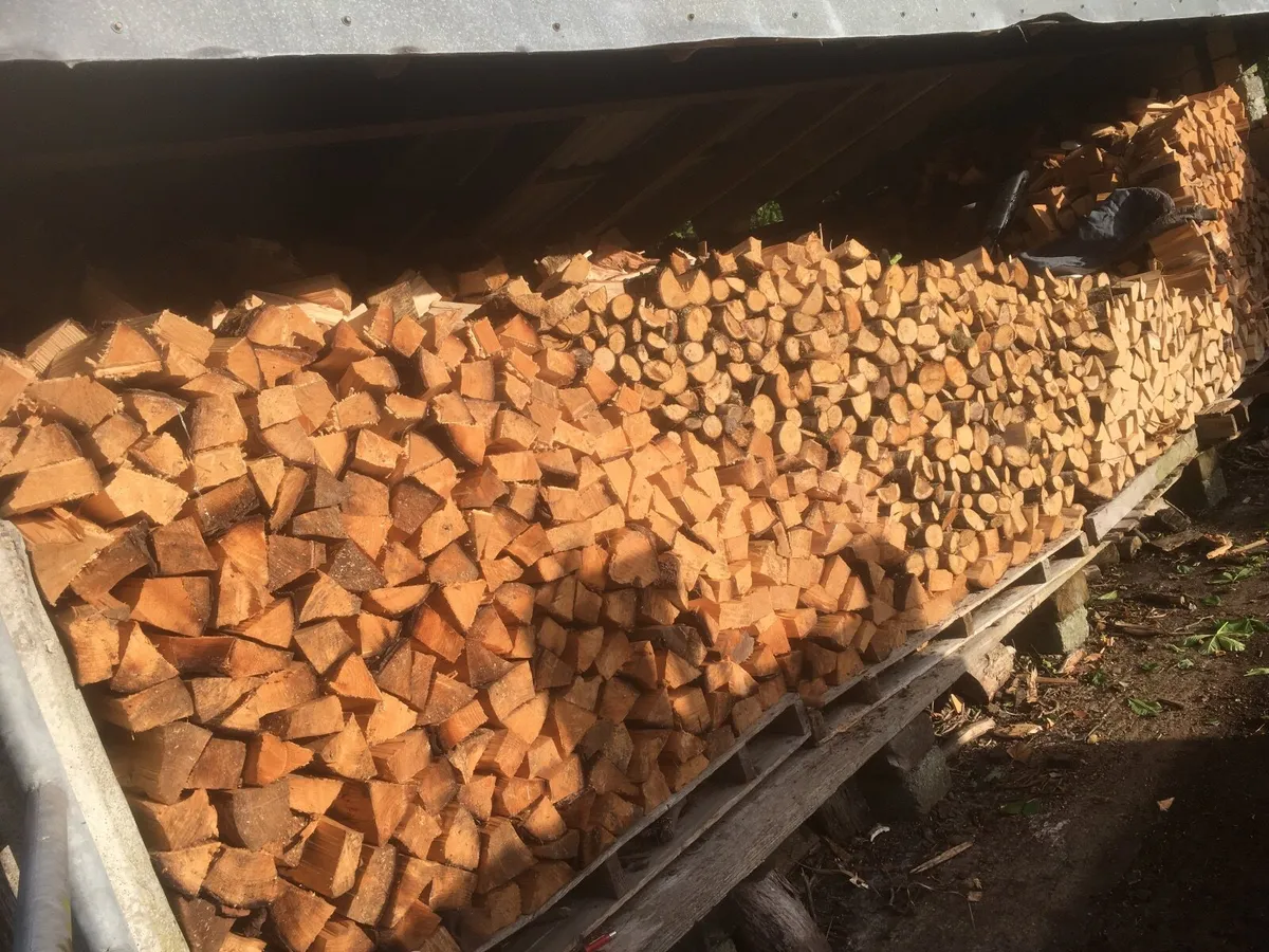 Bags of firewood - Image 3