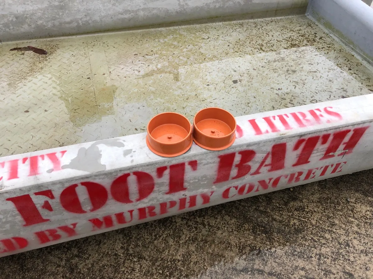 Cow foot bath - Image 1