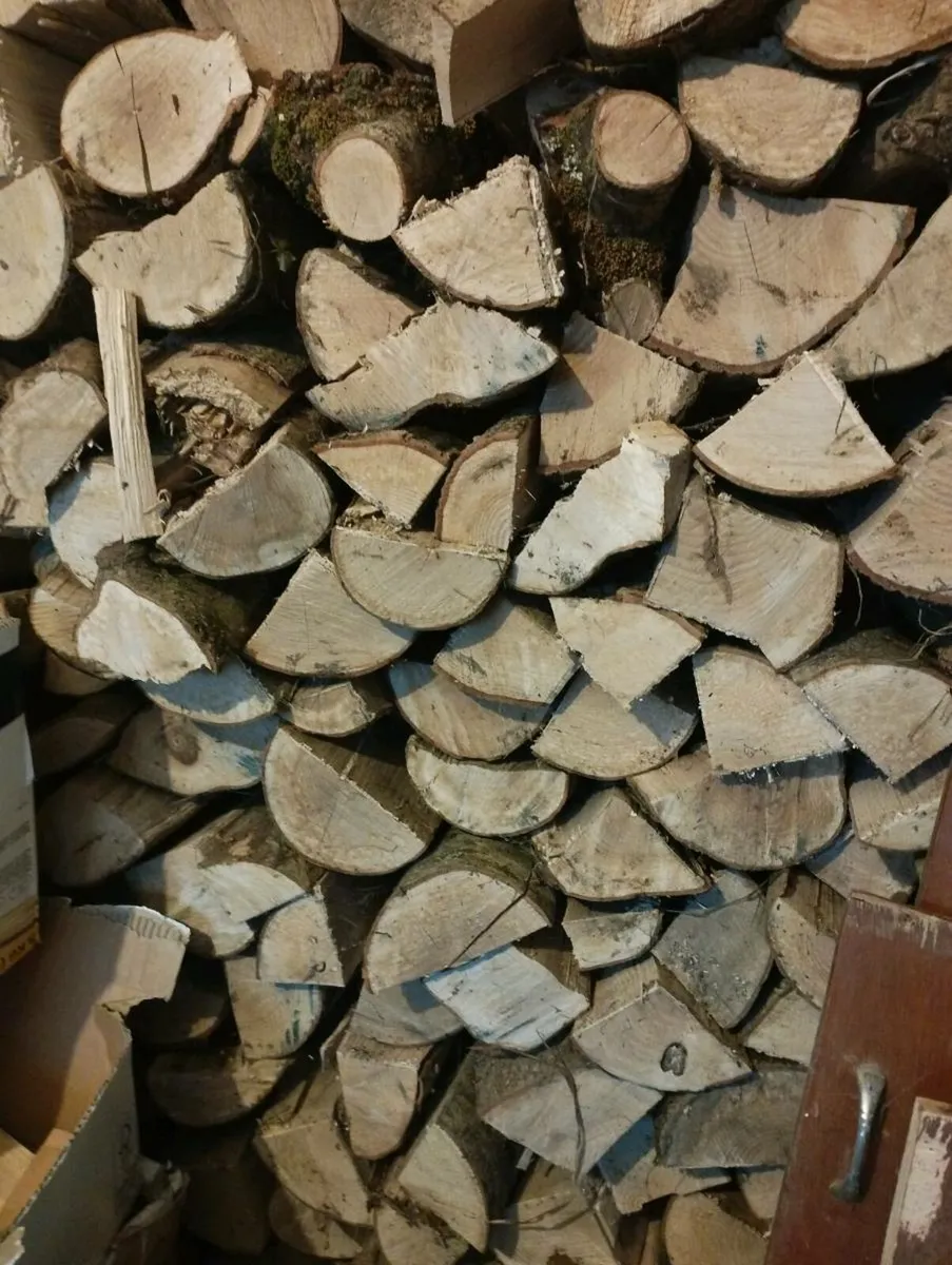 Ash firewood - Image 3