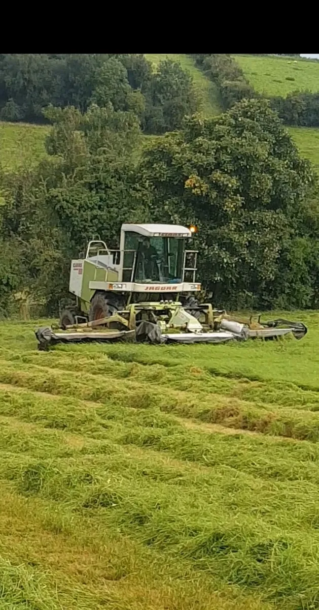 Claas Self Propel Mower - Image 1