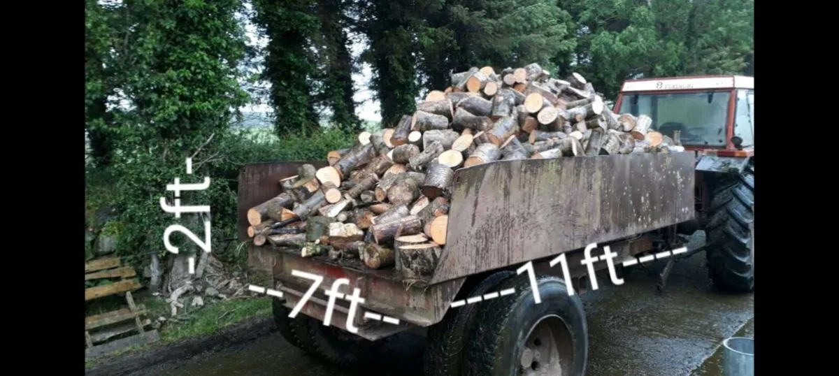 Trailer Load Softwood Firewood - Image 2