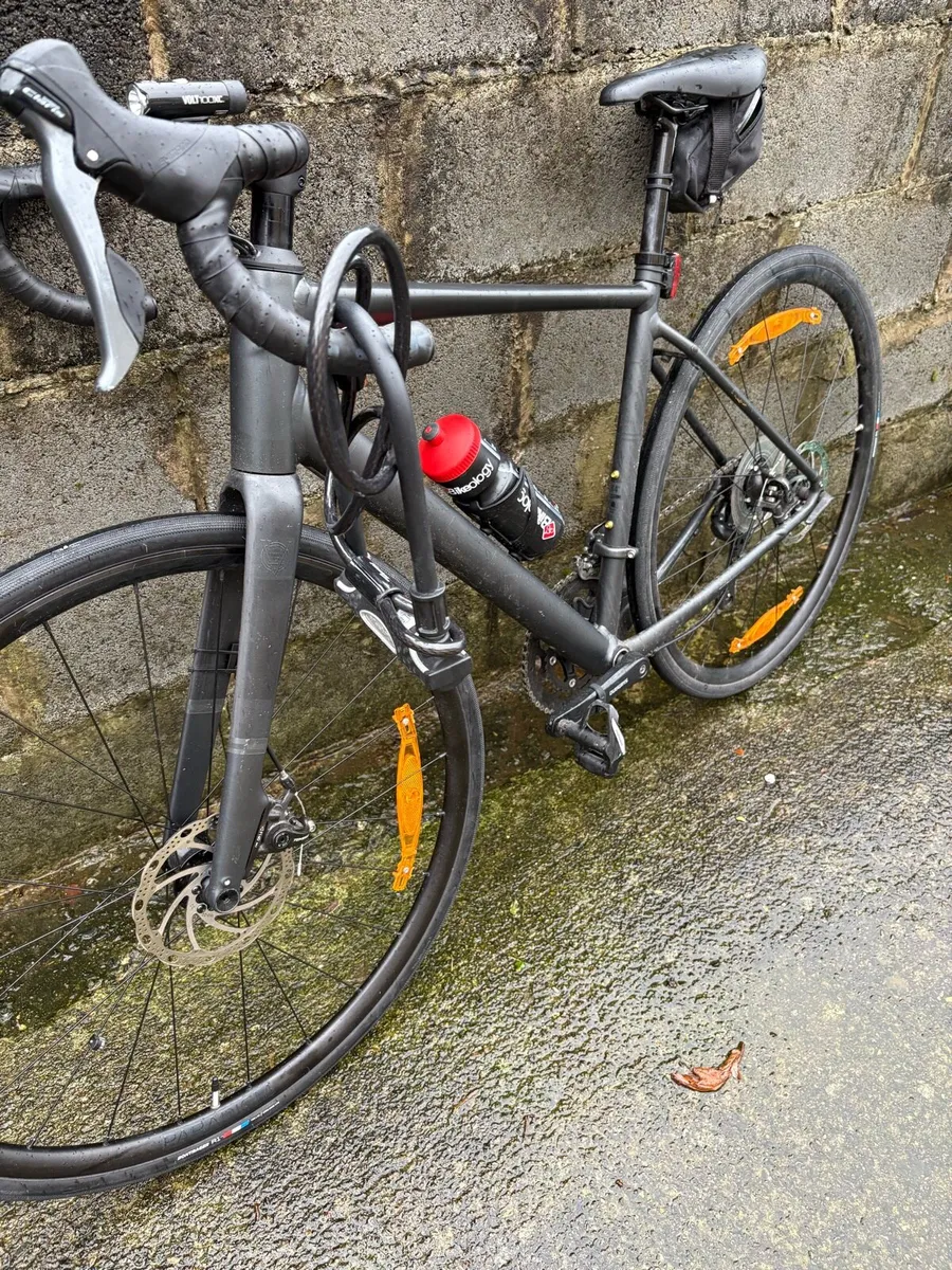 Trek Domane AL 2 Gen 4 - Image 1