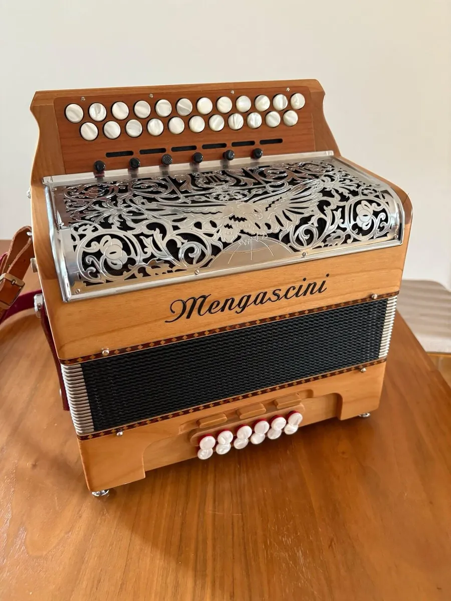 Accordion - Image 1