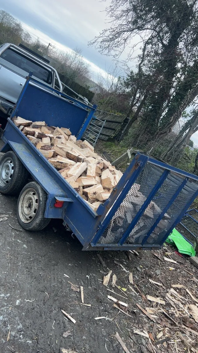 Firewood - Image 4