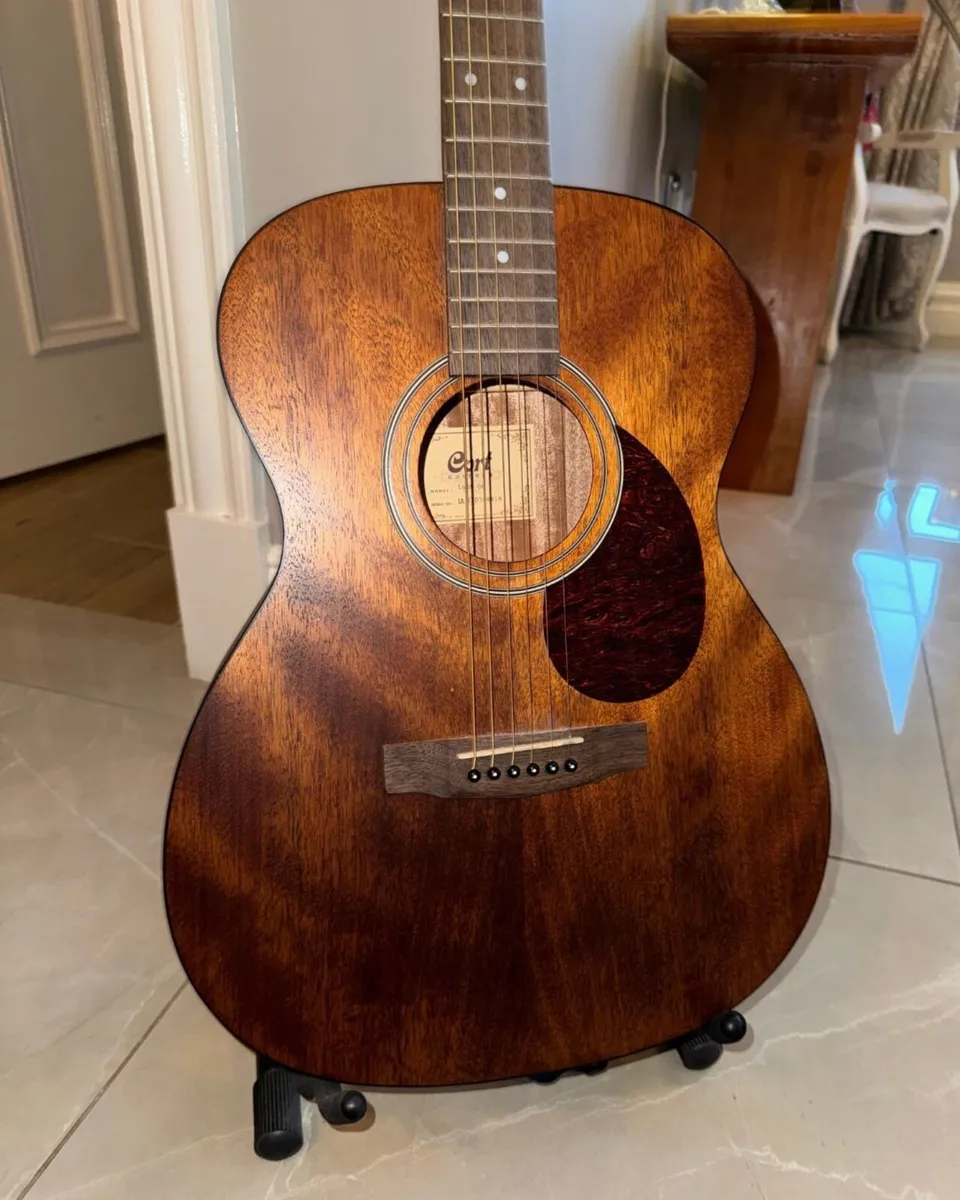 Cort  Acoustic Guitar – Perfect for Beginner/Xmas - Image 3