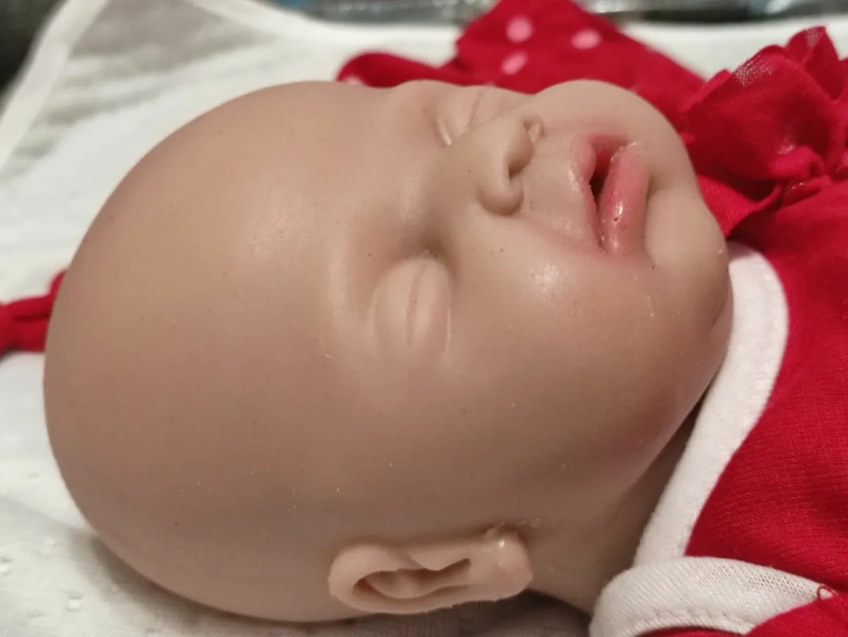 Reborn Doll Full Silicone - Image 2