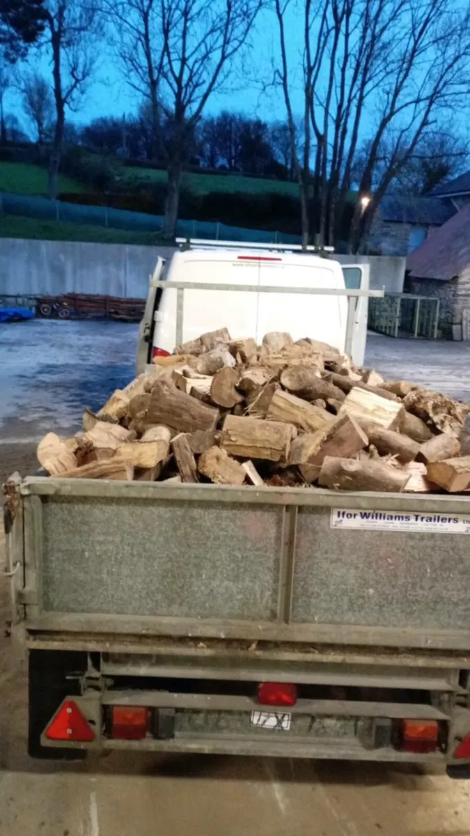 Hardwood firewood - Image 3