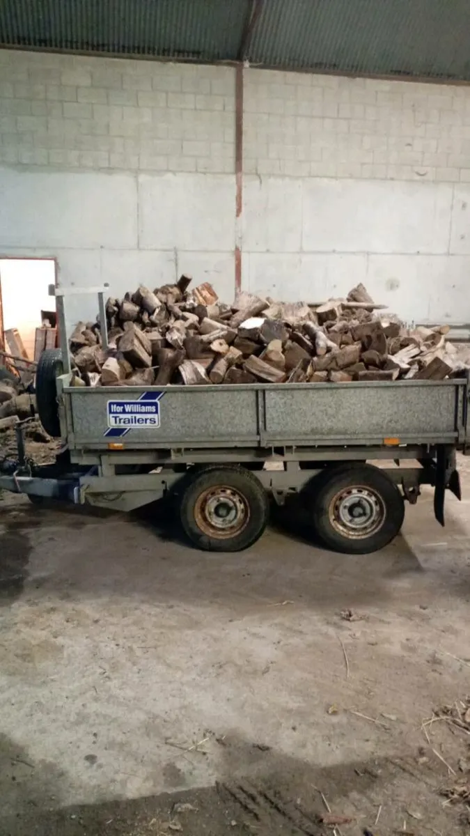 Hardwood firewood - Image 4