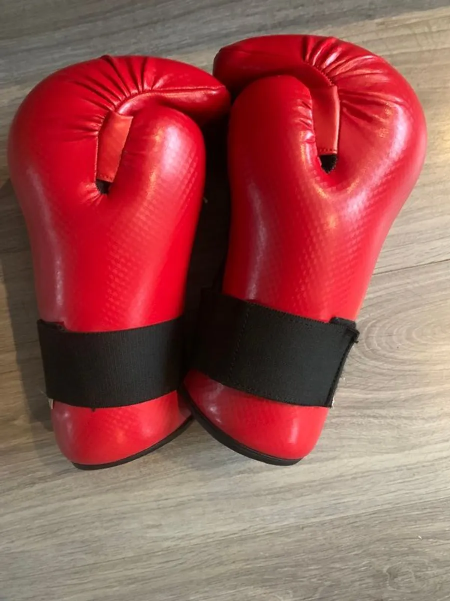 Taekwondo Sparring gear - Image 2
