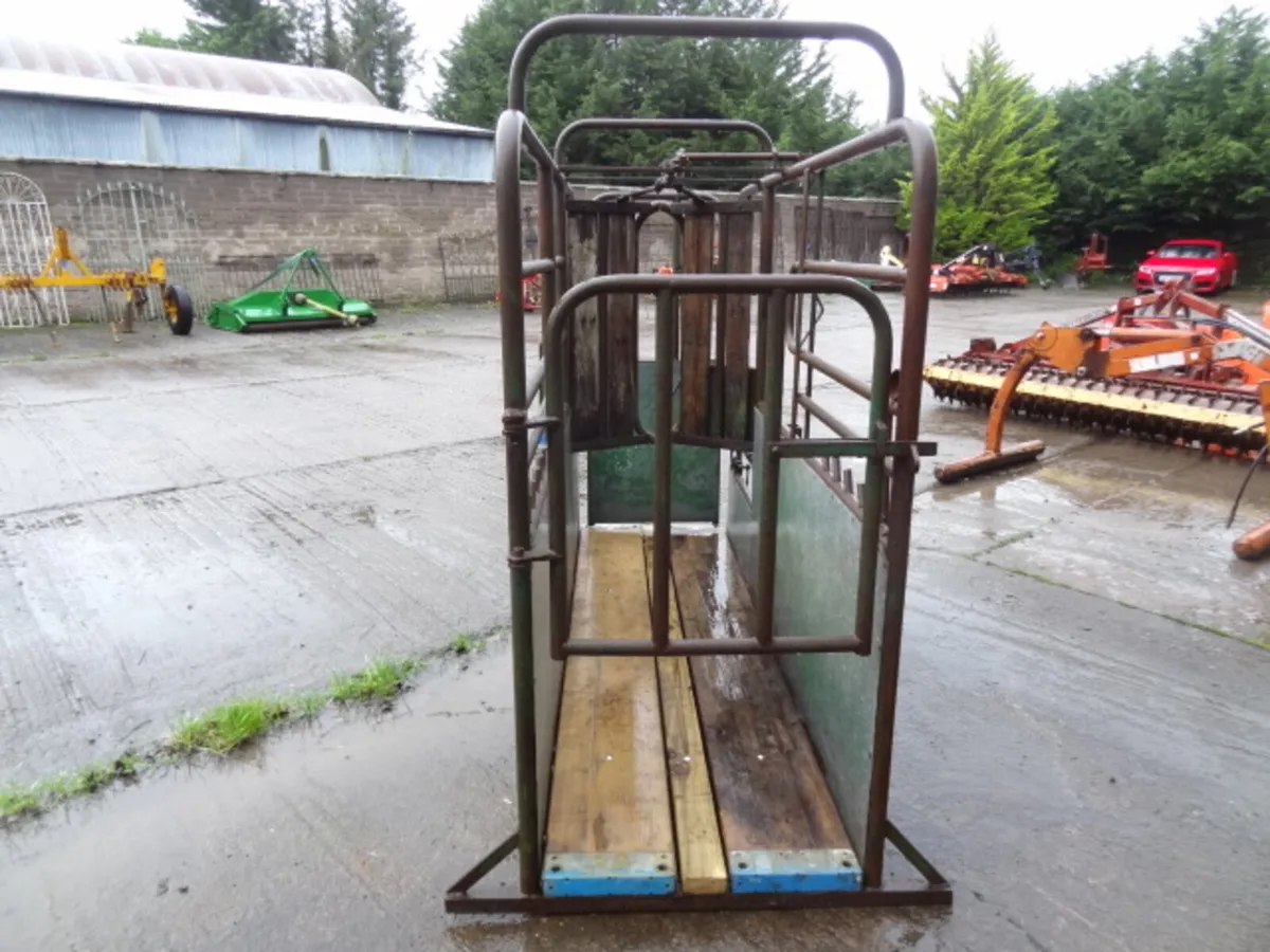 Portable Cattle Crush - Image 4