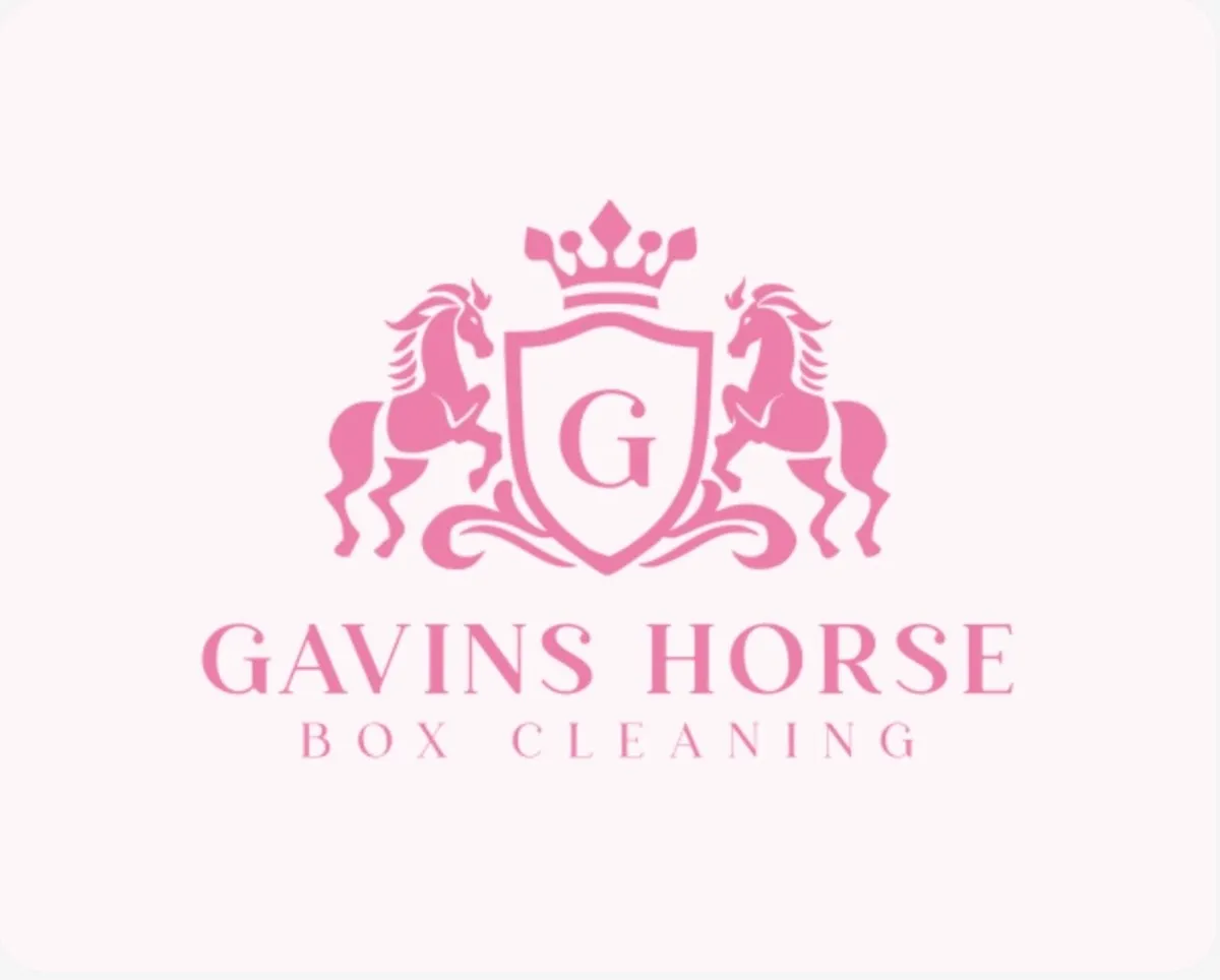 Horse box cleaning service - Image 1