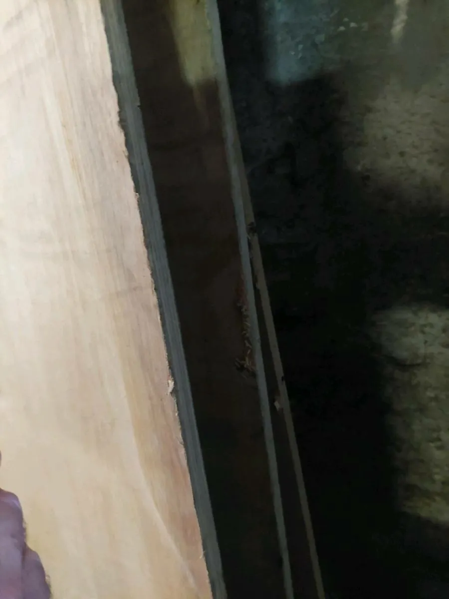 Plywood 3 sheets - Image 3