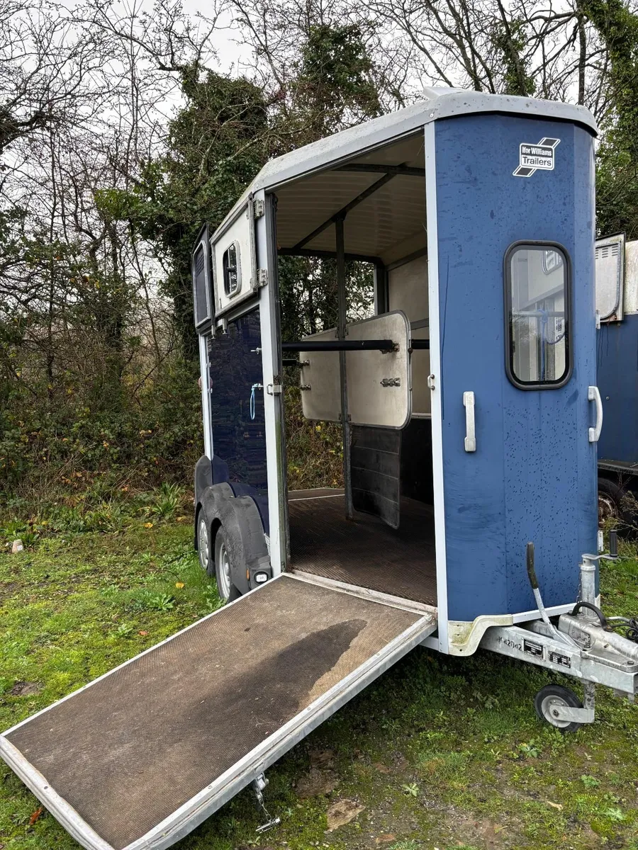 Horse box ifor williams 506 - Image 4