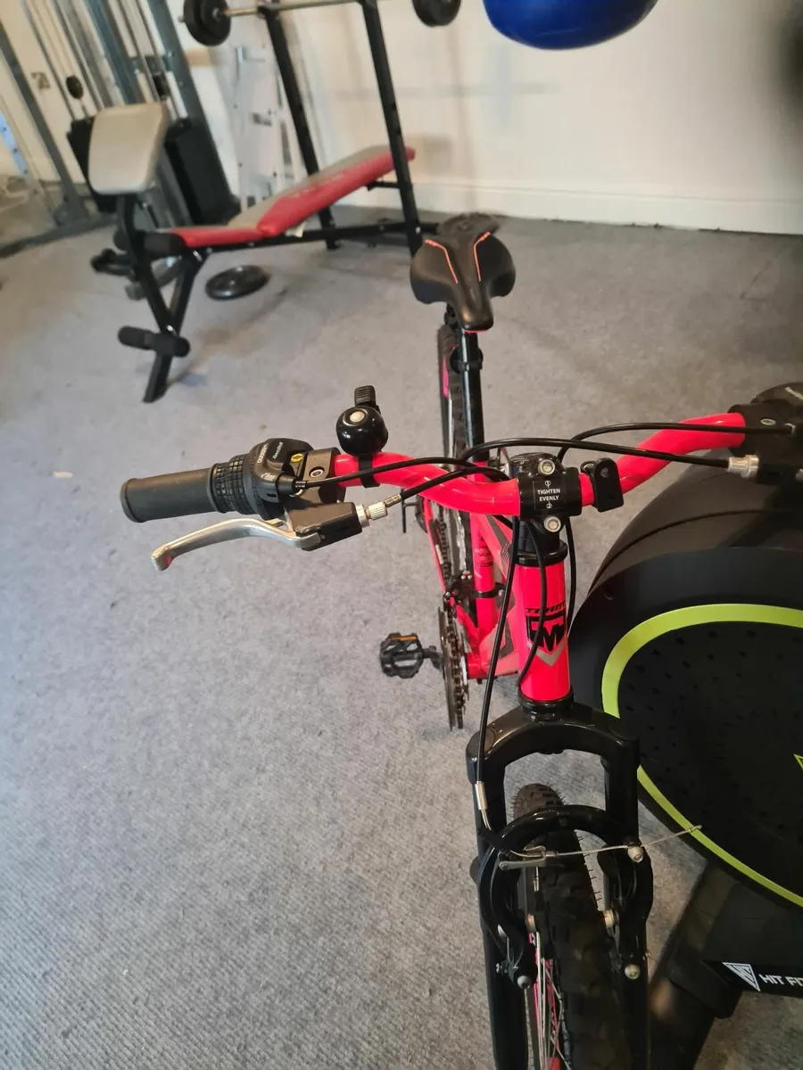 Girls mountain bike - Image 2