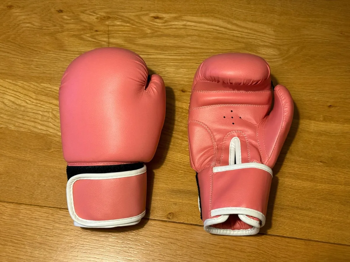 Lions Children's Boxing Gloves and Pads Set - Image 1