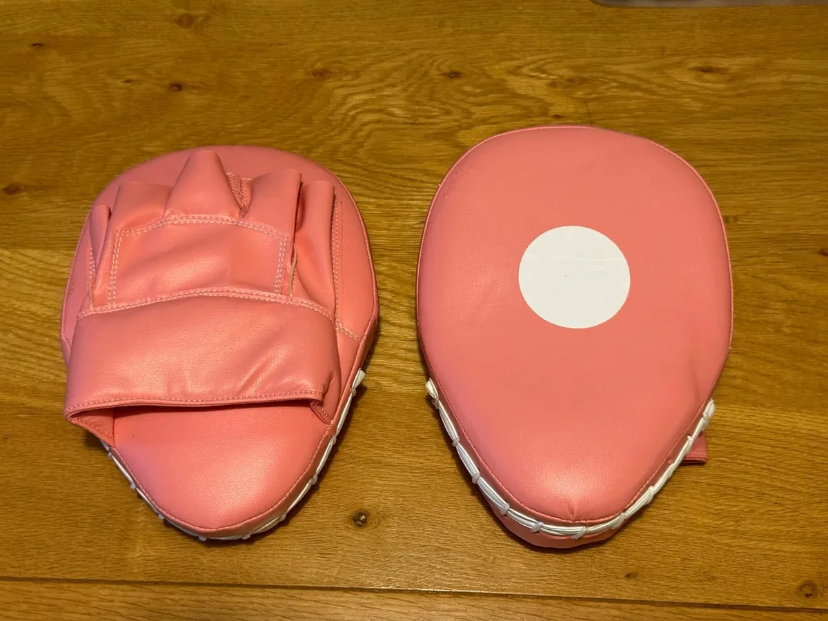 Lions Children's Boxing Gloves and Pads Set - Image 2