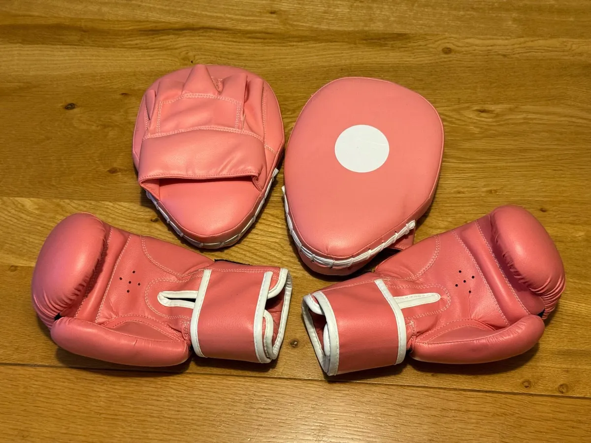 Lions Children's Boxing Gloves and Pads Set - Image 3