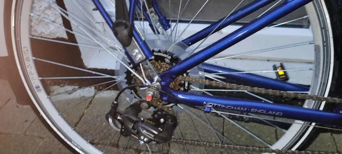 Ladies Bike - Image 3