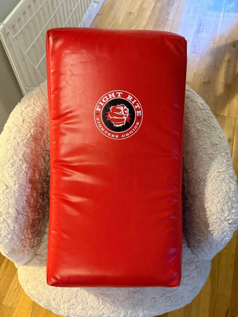 Fight Rite Kickboxing Pad and gloves - Image 1