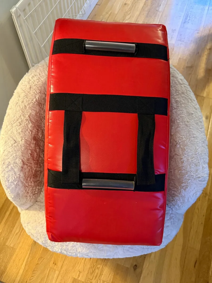 Fight Rite Kickboxing Pad and gloves - Image 3