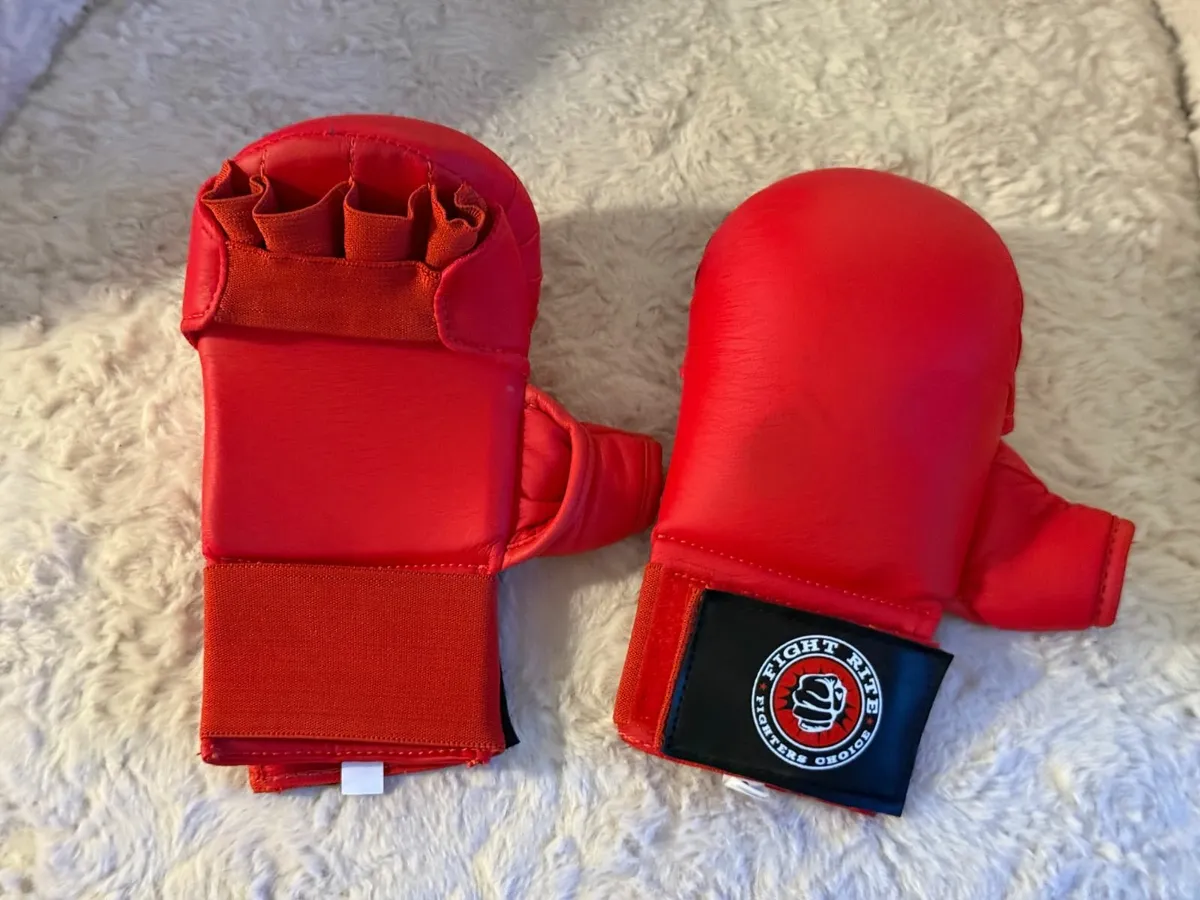 Fight Rite Kickboxing Pad and gloves - Image 4