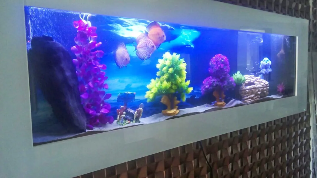 Extra Large Wall Mounted Aquarium - Image 4