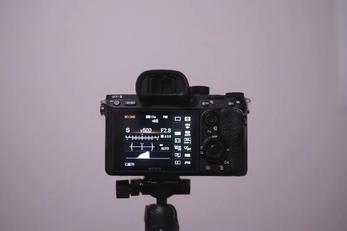 Sony A7R iii - Image 3