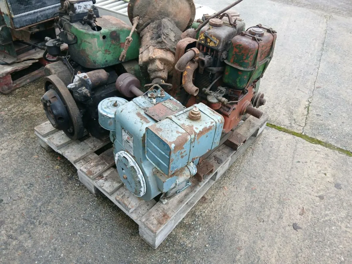 Shed clear out - Image 2