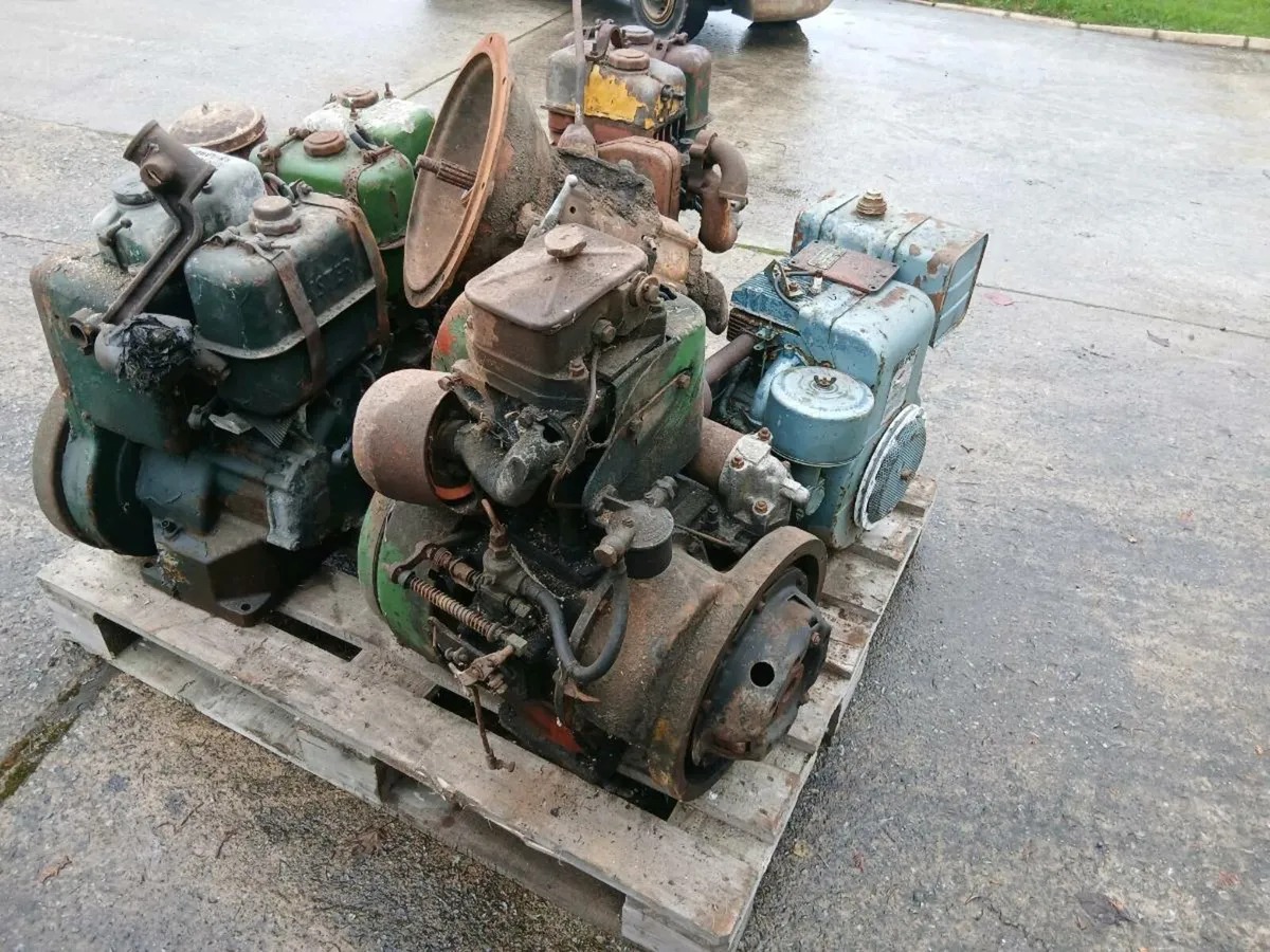 Shed clear out - Image 3