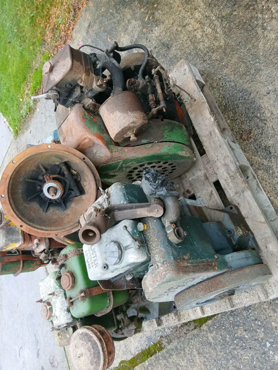 Shed clear out - Image 4