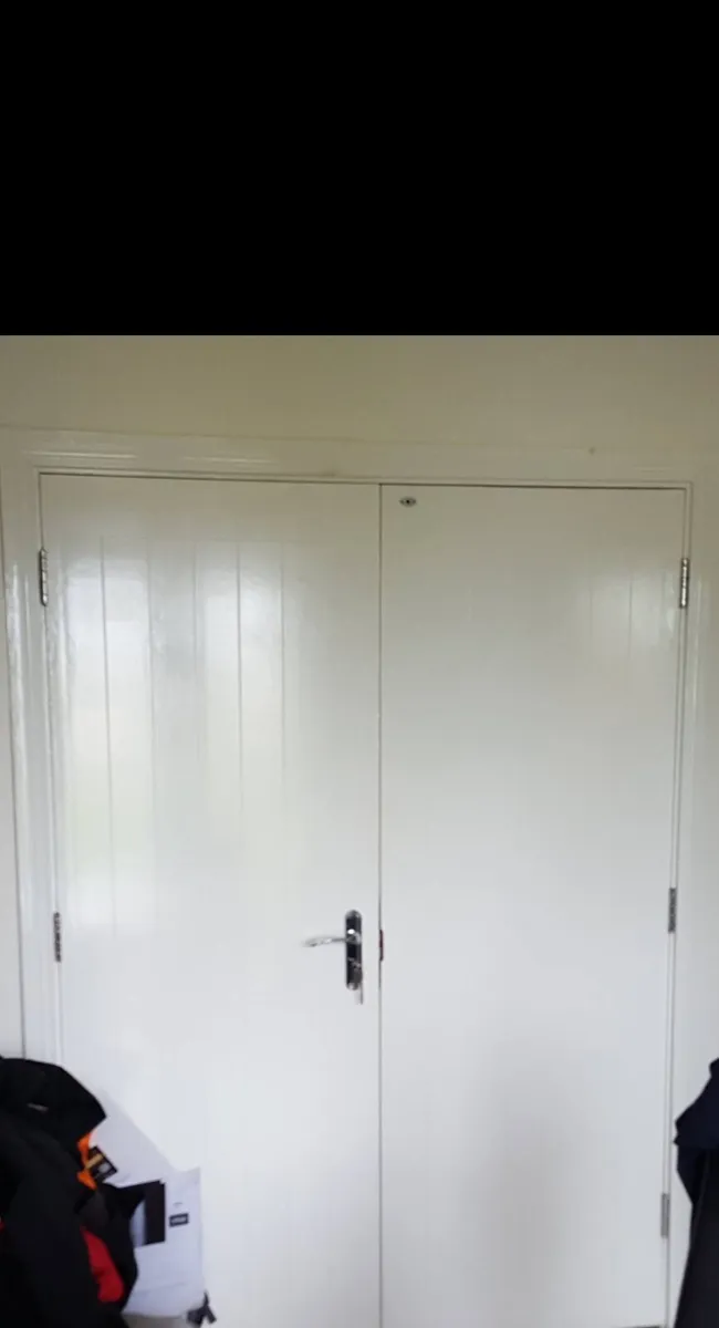 Internal double doors - Image 1