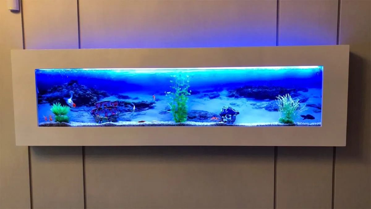 Extra Large Wall Mounted Aquarium - Image 2