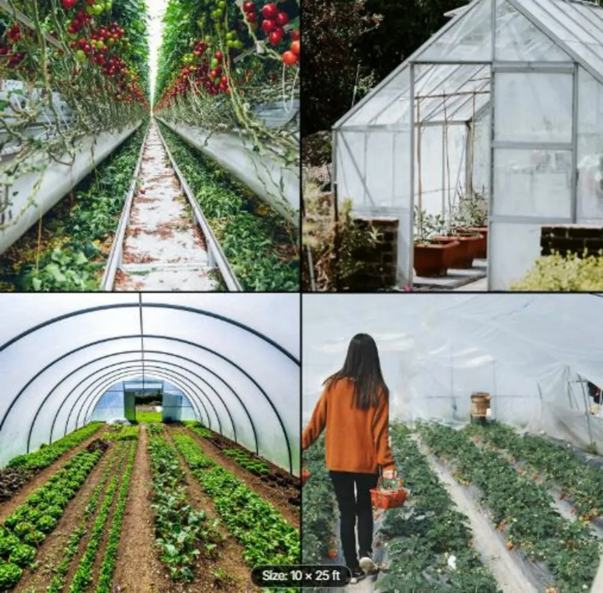 Greenhouse Film 304.8 x 762 cm,Greenhouse - Image 4