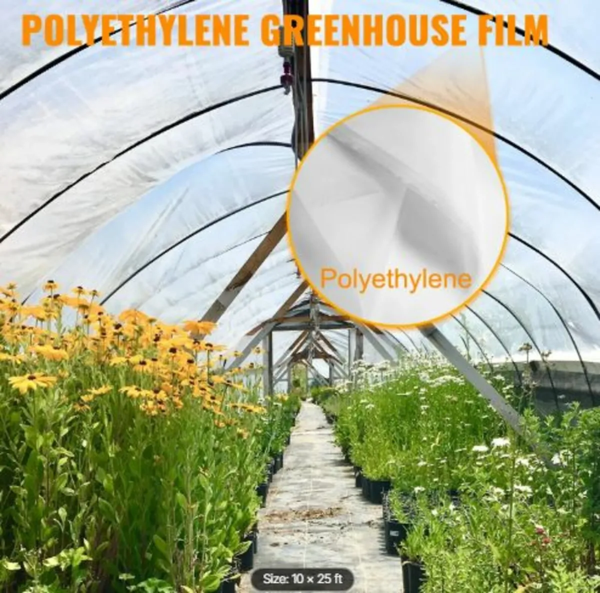 Greenhouse Film 304.8 x 762 cm,Greenhouse - Image 2