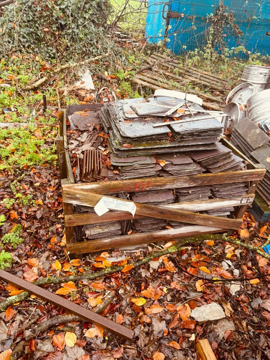 Blue Bangor slates - Image 1