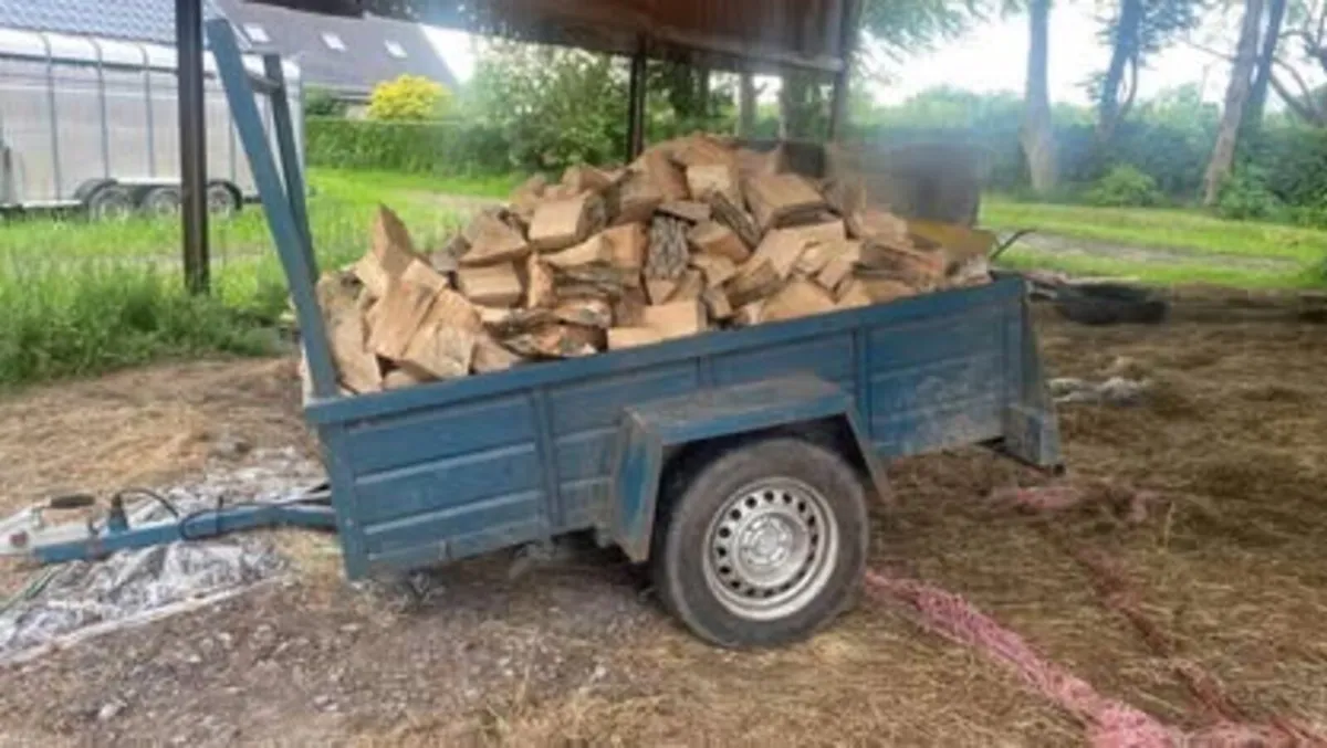 Firewood - Image 1