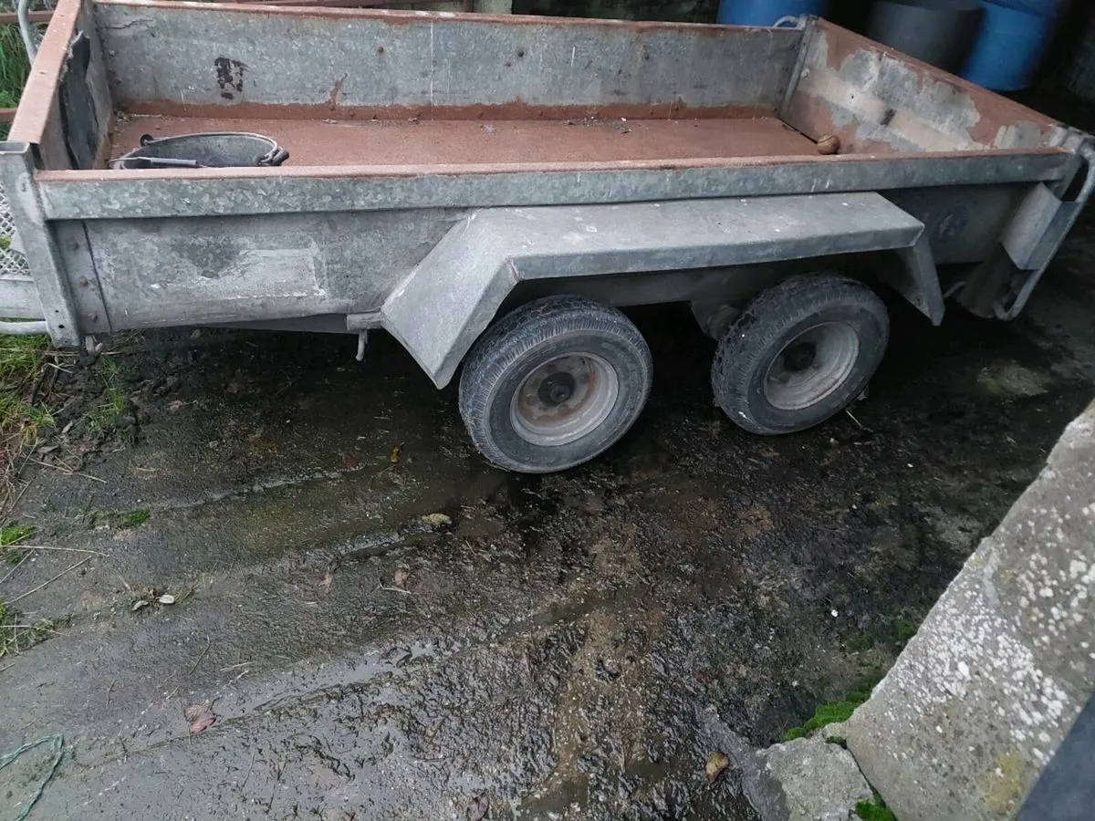 Plant trailer - Image 2