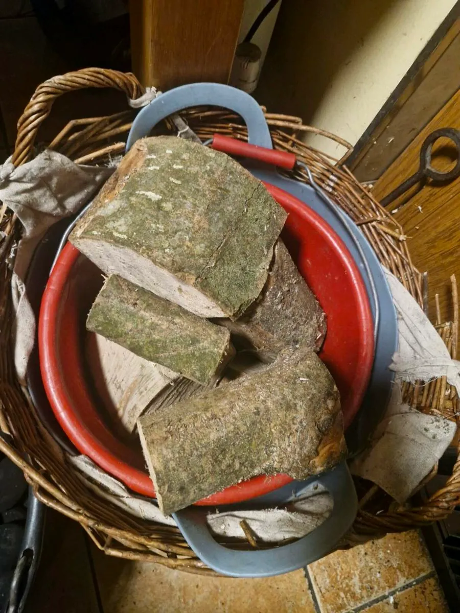 Firewood Hardwood Ash - Image 1